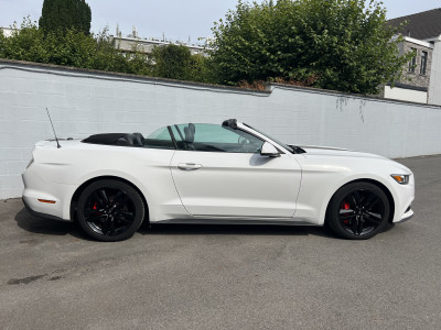 Mustang Cabrio 2.3 Ecoboost