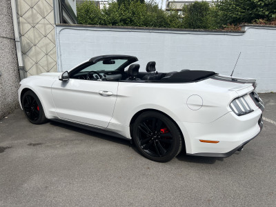 Mustang Cabrio 2.3 Ecoboost