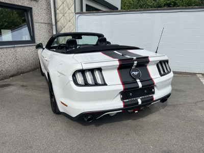 Mustang Cabrio 2.3 Ecoboost